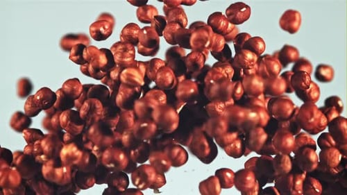 Hazelnuts Exploding and Falling in Slow Motion