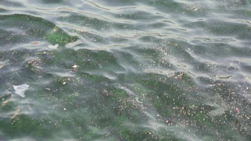 Garbage in the sea. Polluted water of the Bosporus