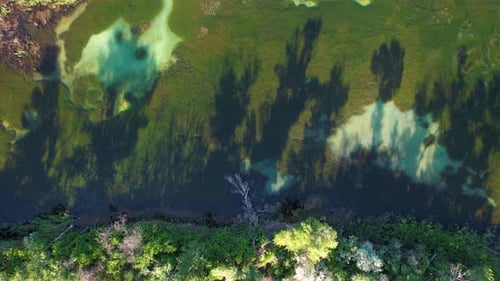 Tree Shadows In The Lake