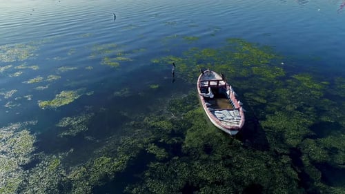 prise de vue par Drone d'un bateau de pêche et d'oiseaux dans la mer