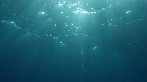 Light playing through the ocean surface seen from below. Underwater background VFX element.