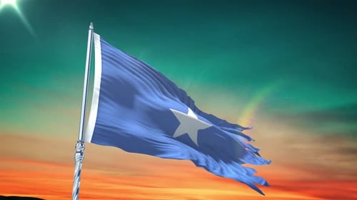 Realistic Distressed Flag Waving in Wind Animation