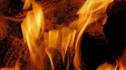 Camp Fire at Night Close Up
