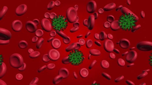 Microscopic view of blood cells and viruses in a human bloodstream