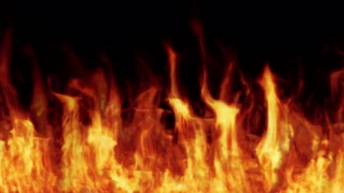 Line of Real Flames Burning on Black Background