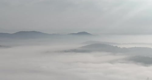 Drohnenaufnahmen aus der Luft von nebligem Nebel, der an einem schönen Morgen über einem Kiefernwald weht