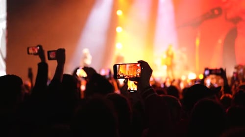 Excited Crowd Records Live Music Performance at Night