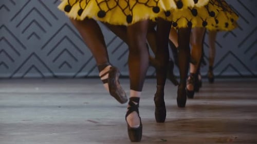 Elegant Ballet Dancers Perform On Stage