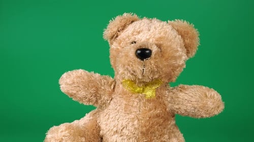 Stuffed and fluffy teddy toy brown bear playing and dancing on a green background.