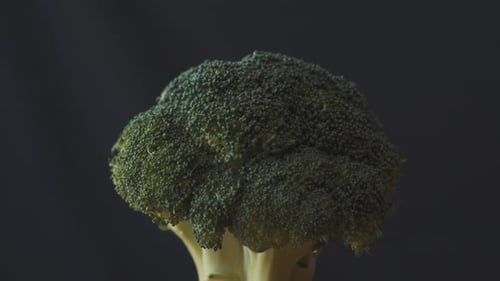 Close-Up of Broccoli on Wooden Surface