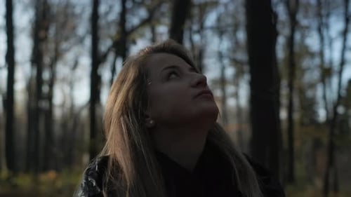 Woman Watching Trees in the Woods Woman looks up while walking in the forest in autumn