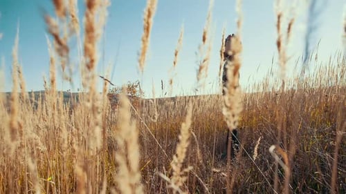 Young Poor Guy Alone in a Field View of the Sky