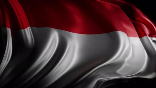 Realistic Red and White Flag Waving Seamless Loop Animation