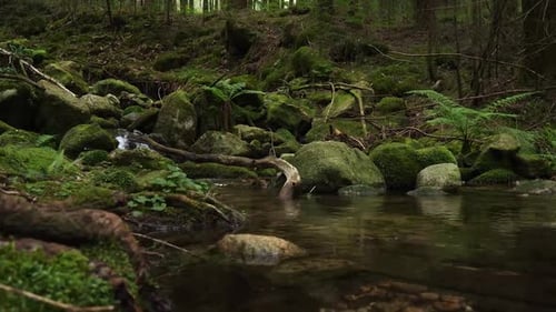 cours d'eau naturel filmé sur un cardan