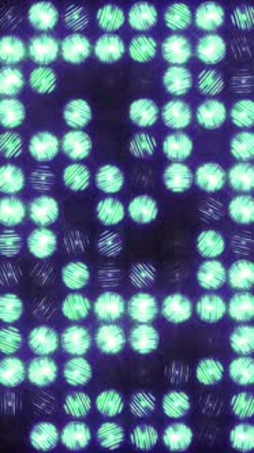 Slowly Flashing Lights in the Wall of Light