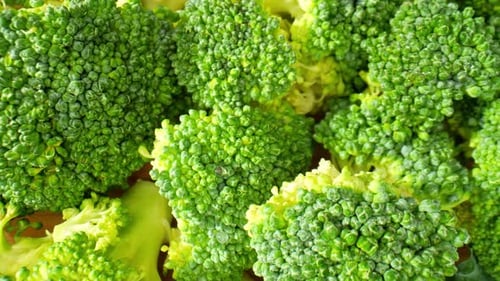 Fresh Green Broccoli Florets Extreme Close Up