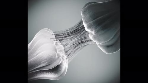 Deux neurones communiquant avec la boucle de déclenchement de synapses 4K