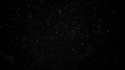 Real Snow Falling