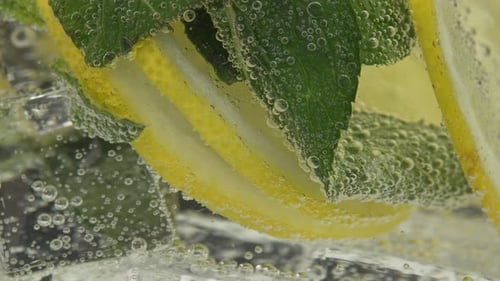 Refreshing Drink with Lemon and Mint Leaves