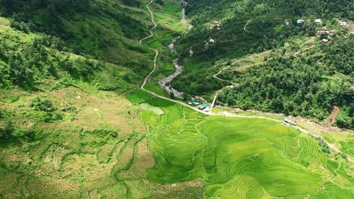 Drone, rice field and hill with nature in Vietnam for farming, agriculture