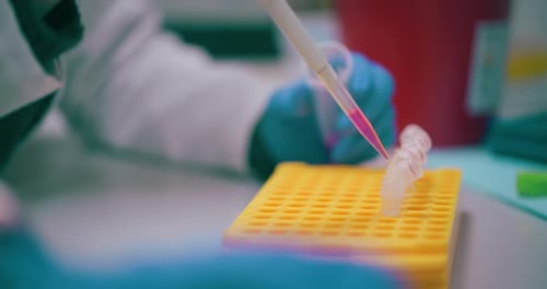 Scientist Using Pipette to Add Sample to Test Tube