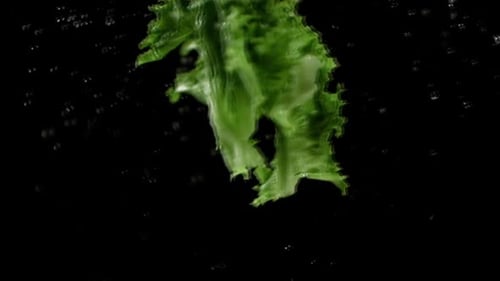 Vibrant Green Lettuce Falling in Slow Motion