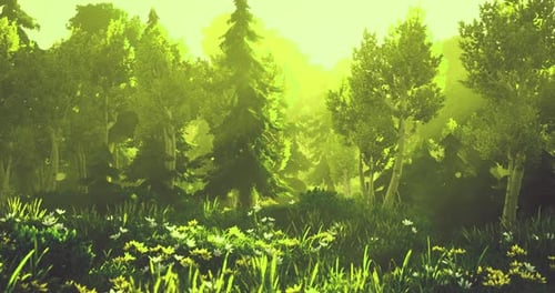 Sonnenbeschienene Waldlandschaft mit üppigem Grün und lebendigem Laub tagsüber