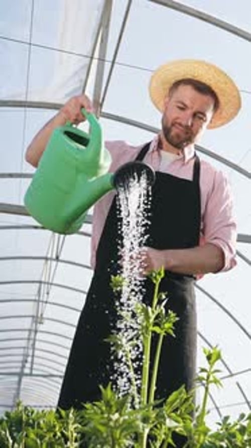 Working, watering flowers by using can.