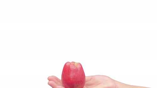Giving an apple
