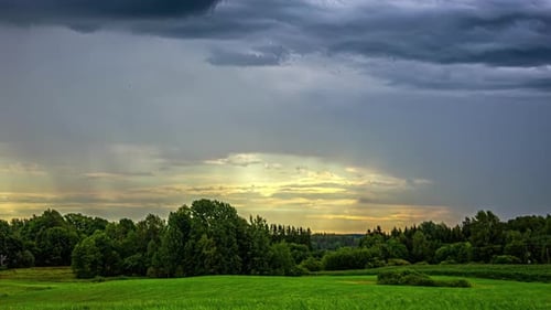 Timelapse shot of dark clouds passing by surrounded by tall trees over green grasslands during eveni