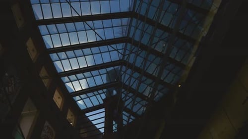 Building heavy-duty steel engineering design structure beams and trusts supporting glass roof city l