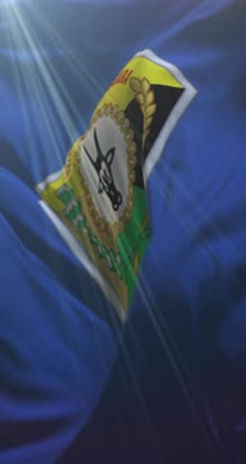 Vertical Waving Flag with Emblem Logo Animation