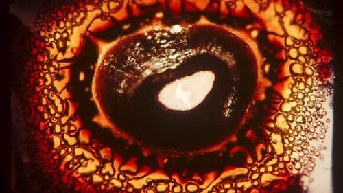 Abstract Microscopic Cells Forming Space Pattern