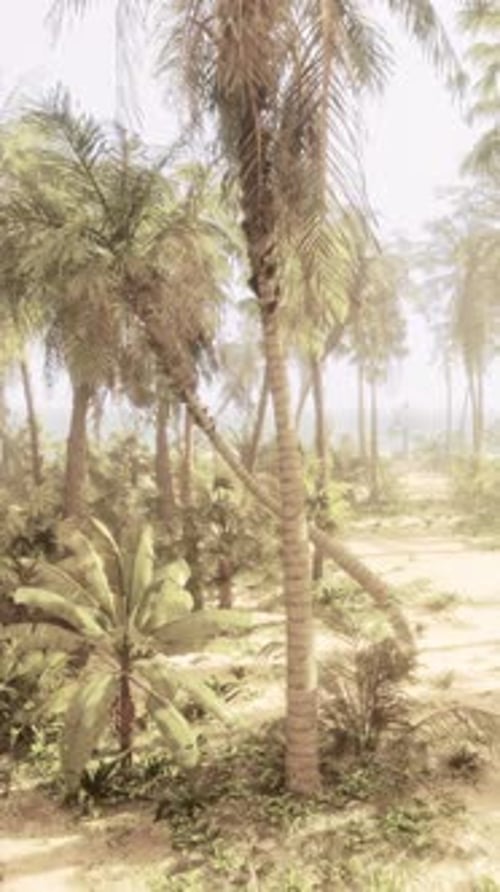 A Serene Beach Scene with Palm Trees and Golden Sand