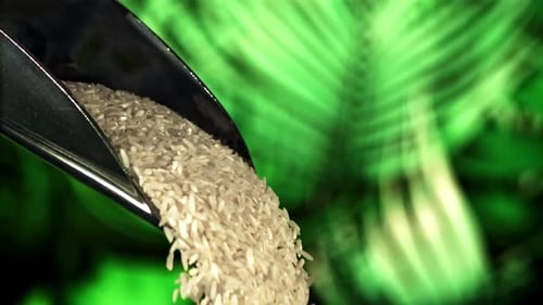 Raw Rice Falls Off the Scoop