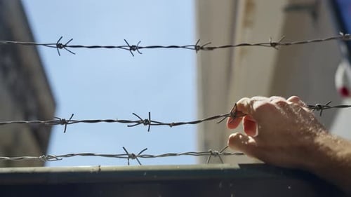 Hand Gripping Barbed Wire on Fence During Daytime