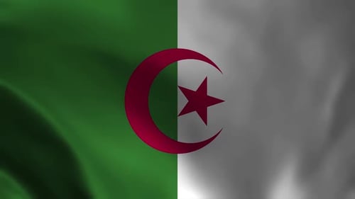 Realistic Waving Algerian Flag Loop Animation