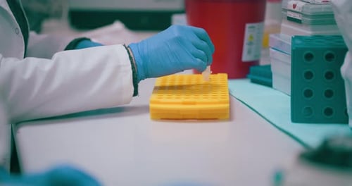 Scientist Working in Medical Laboratory Cancer Research Covic 19 Pandemic