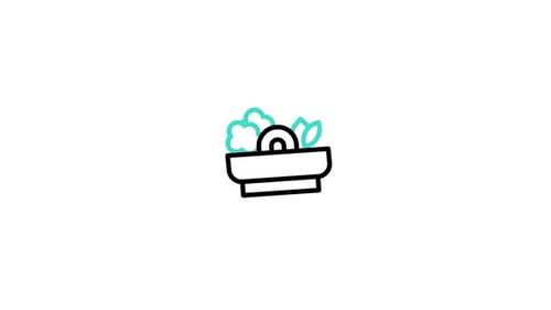 Salad Animated Icon