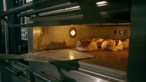 female baker takes out freshly baked fresh bread from the oven and puts it on shelf in the kitchen