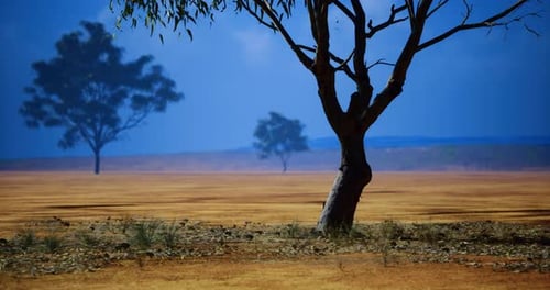 Animated Dry Landscape with Lone Tree Panning Shot