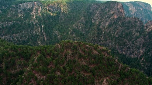 Aerial View Forest Mountains