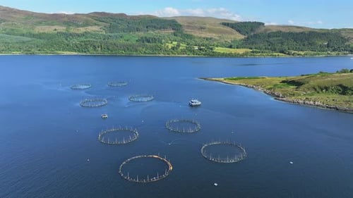 Aquaculture Intensive Fish Farm Aerial View