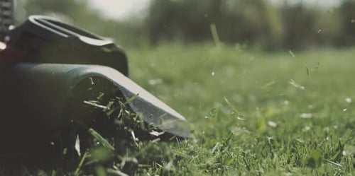 Couper l'herbe verte à l'aide d'une tondeuse à gazon