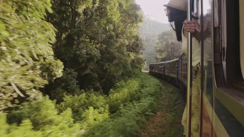Woman Enjoy Scenic Train Ride