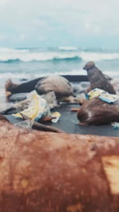 Freiwillige beseitigen im Sommer die Umweltverschmutzung entlang des schönen Strandes