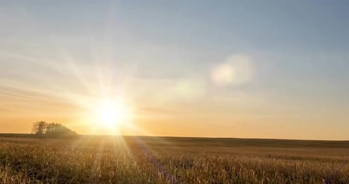 Meadow Timelapse at the Autumn Sunset Time Wild Nature and Rural Grass Field Sun Rays and Yellow