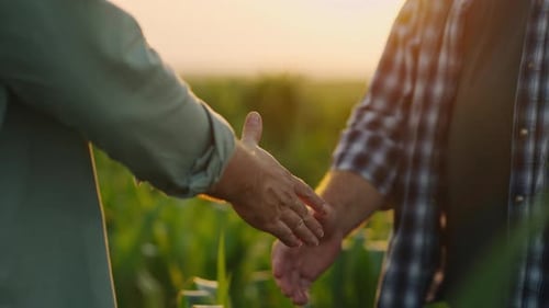 Farmers Shake Hands in Golden Hour Crop Field