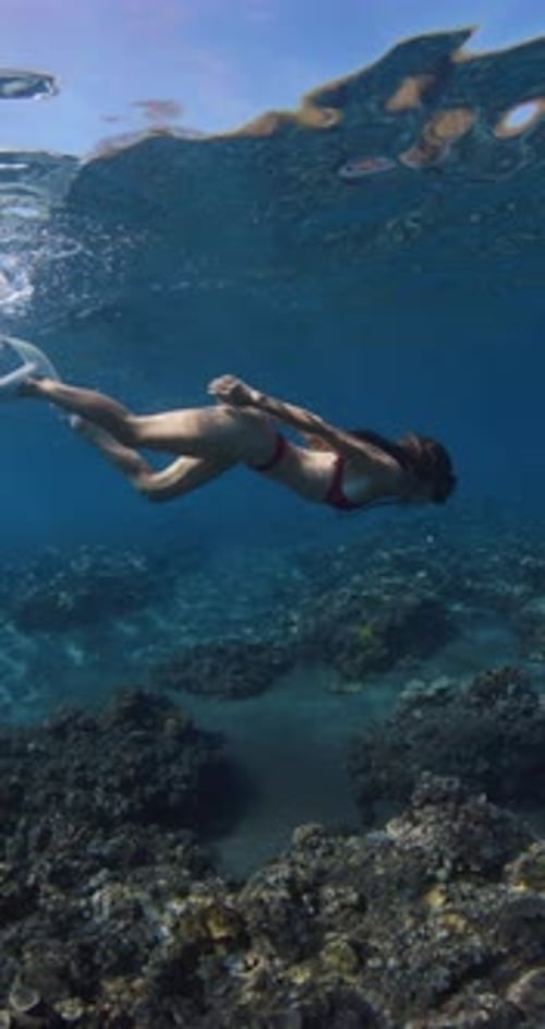 Attractive Sexy Woman in Red Bikini with Diving Mask Swims Underwater in Blue Sea