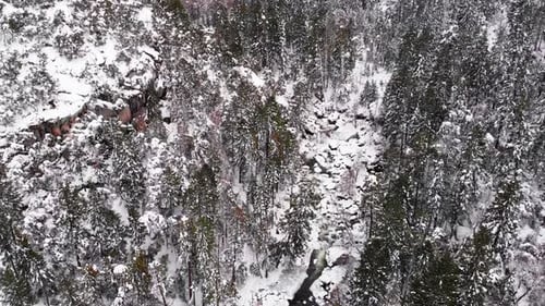 Aerial flyover, top down footage of snow-covered frozen river gorge in forested mountain wilderness